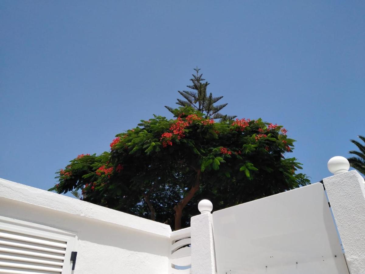 House Lilu - Luminoso Monolocale Apartment Arona  Bagian luar foto
