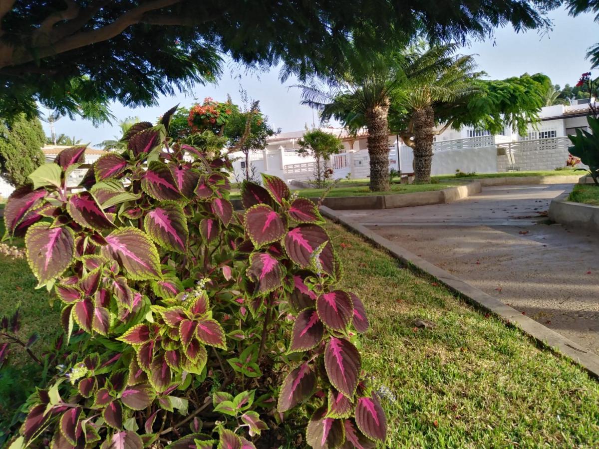 House Lilu - Luminoso Monolocale Apartment Arona  Bagian luar foto